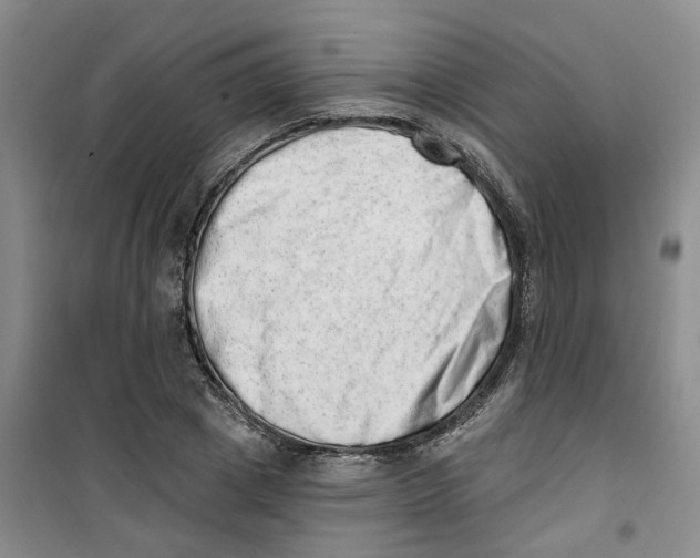 X0000100960833200807221143