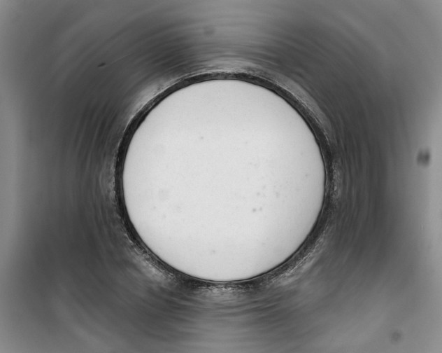 X0000100960834200807221143