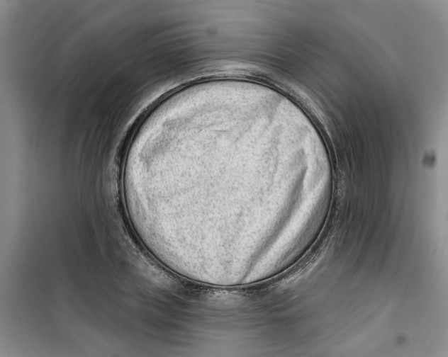 X0000100960835200807221143