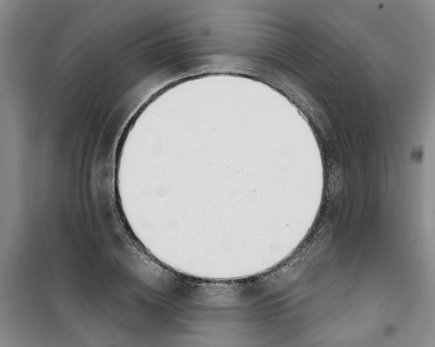 X0000100960836200807221143