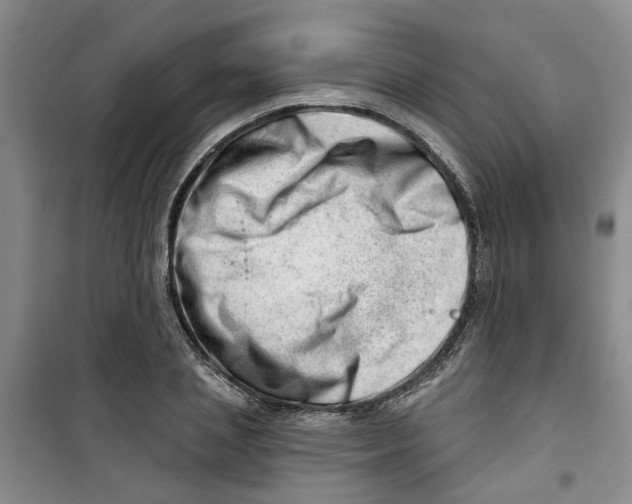 X0000100960837200807221143