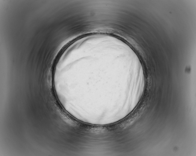 X0000100960838200807221143