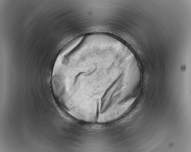 X0000100960841200807221143