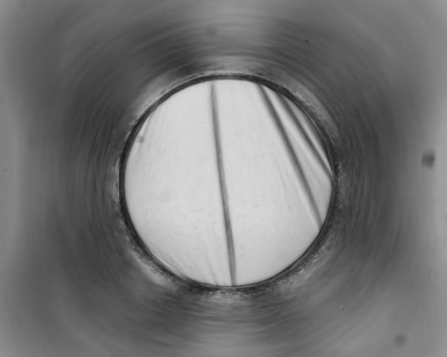 X0000100960842200807221143