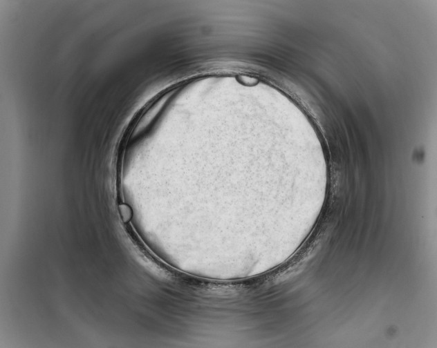 X0000100960843200807221143