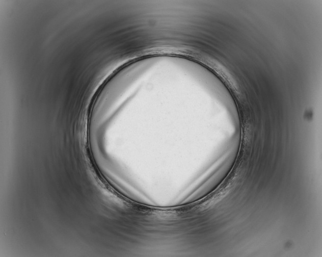 X0000100960844200807221143