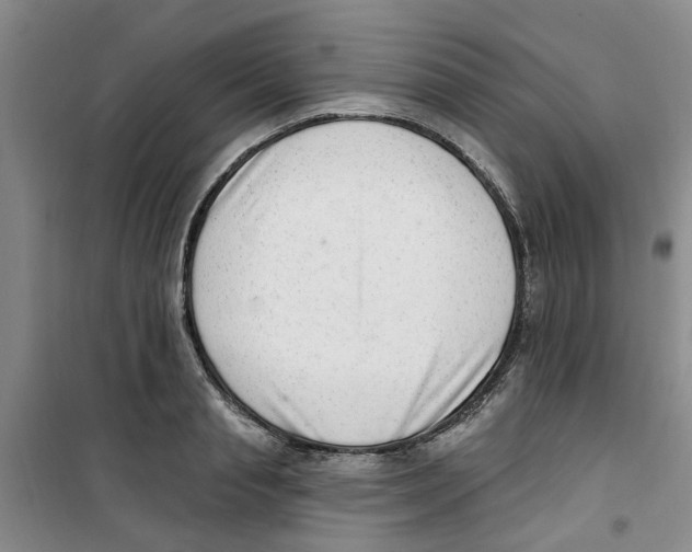 X0000100960845200807221143