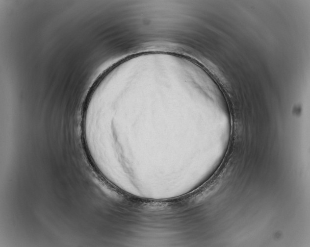 X0000100960846200807221143