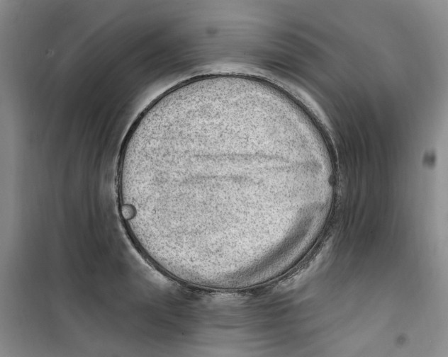 X0000100960847200807221143