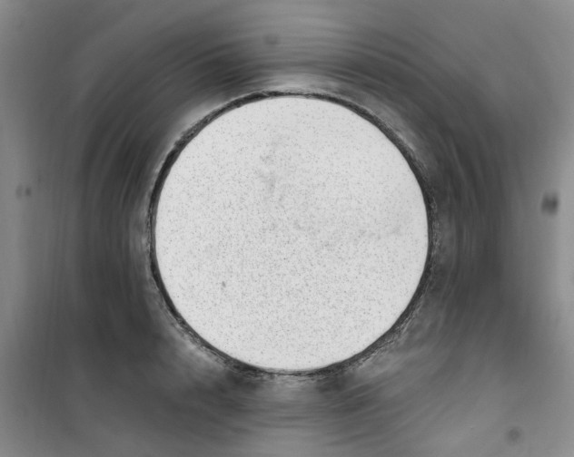 X0000100960848200807221143