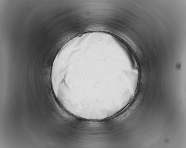 X0000100960849200807221143