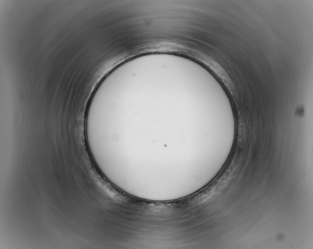 X0000100960850200807221143