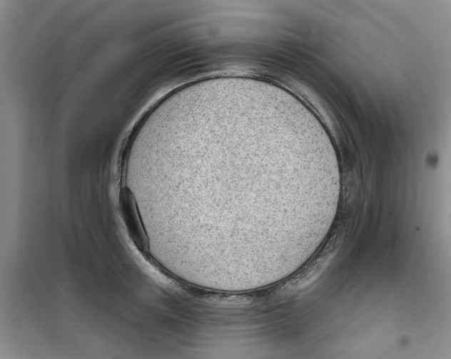 X0000100960851200807221143