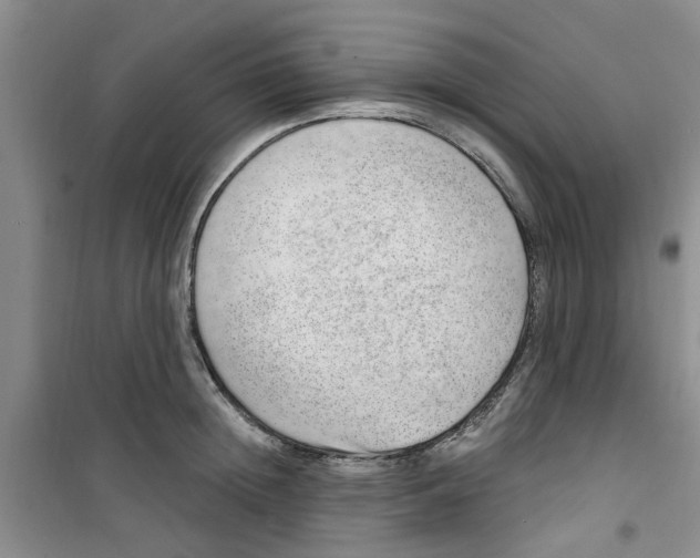 X0000100960852200807221143