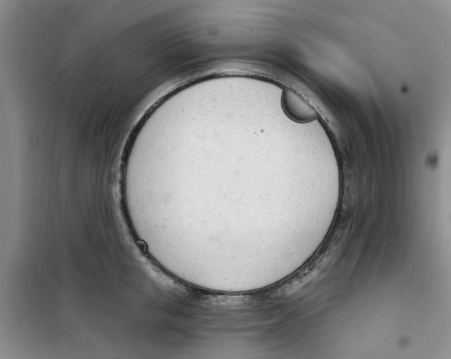 X0000100960853200807221143