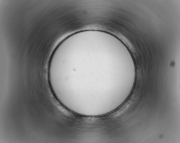 X0000100960854200807221143