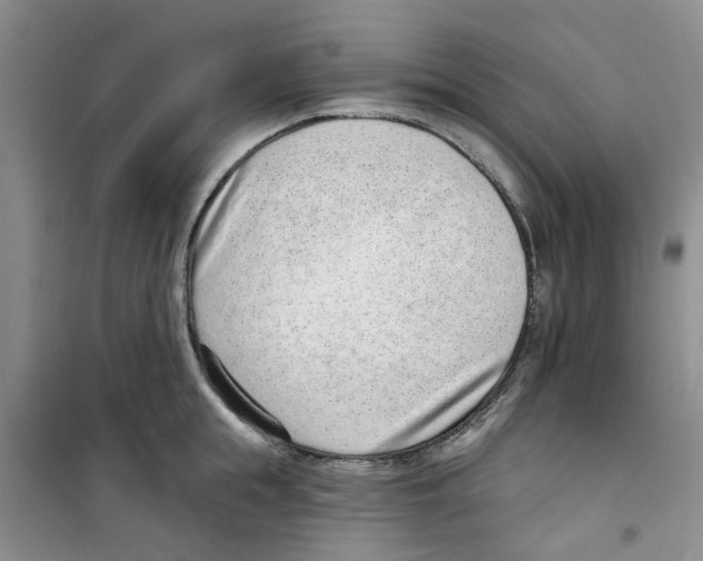 X0000100960855200807221143