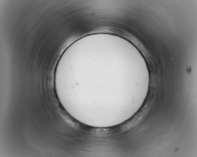 X0000100960858200807221143