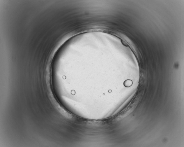 X0000100960859200807221143