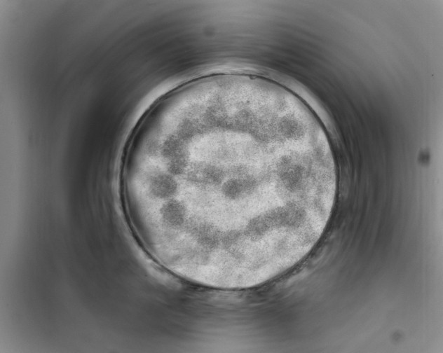 X0000100960861200807221143