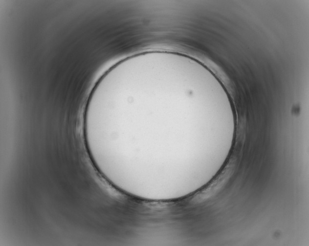 X0000100960862200807221143