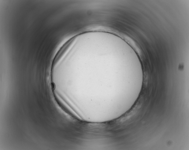 X0000100960863200807221143