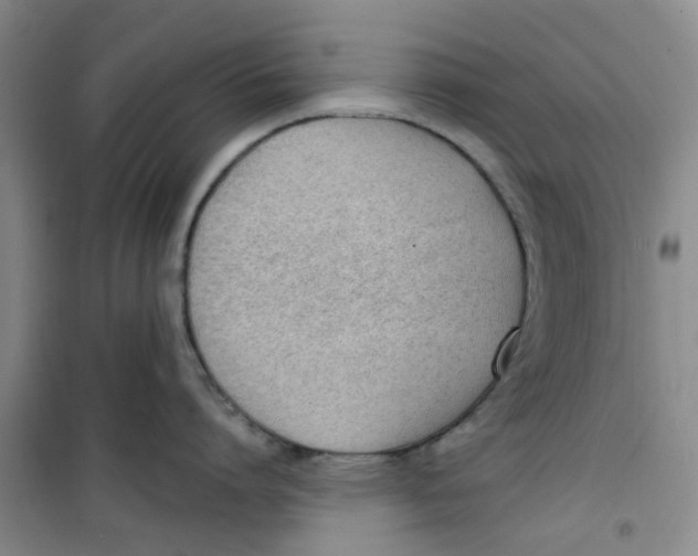 X0000100960864200807221143