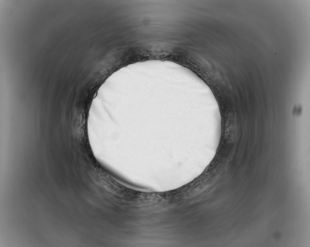 X0000100960866200807221143