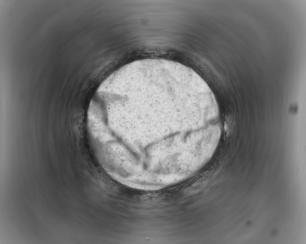 X0000100960867200807221143