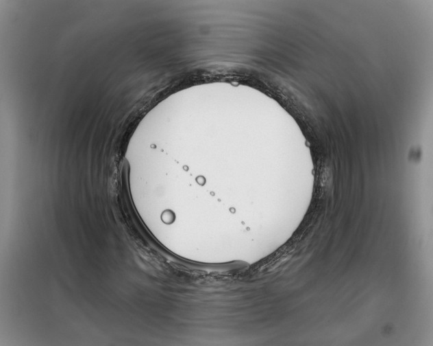 X0000100960868200807221142