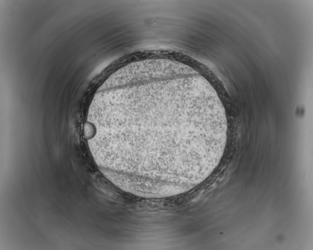 X0000100960871200807221142