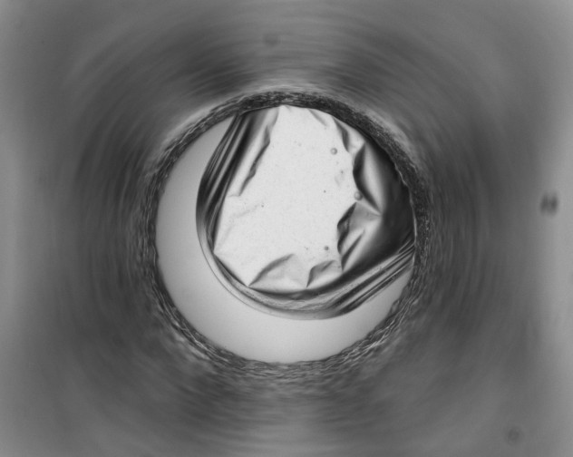 X0000100960872200807221142