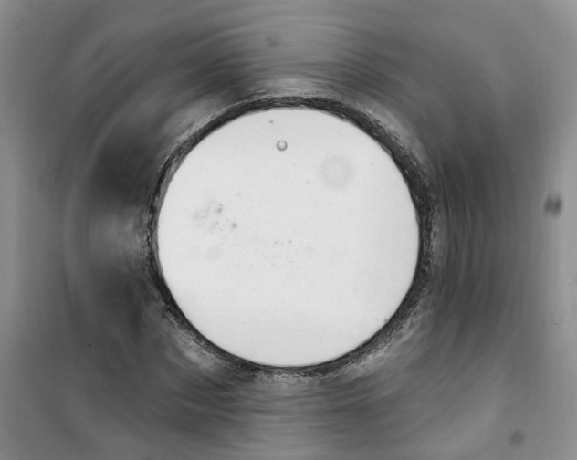 X0000100960873200807221142