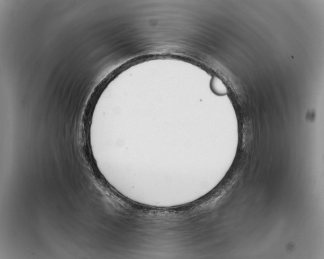 X0000100960876200807221142