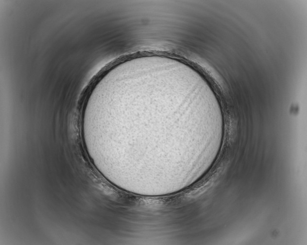 X0000100960878200807221142