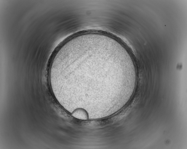 X0000100960879200807221142