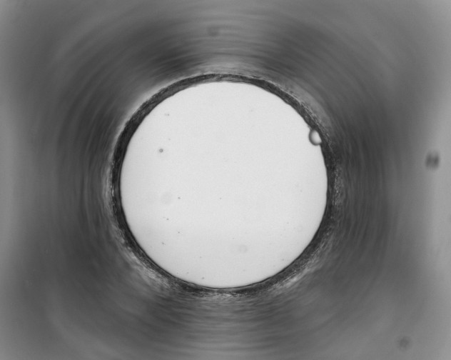 X0000100960880200807221142