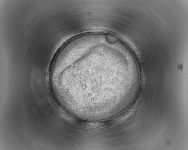 X0000100960883200807221142