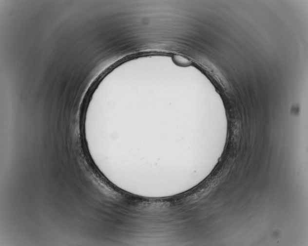 X0000100960884200807221142