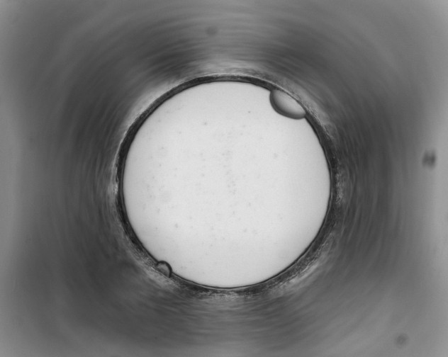 X0000100960885200807221142