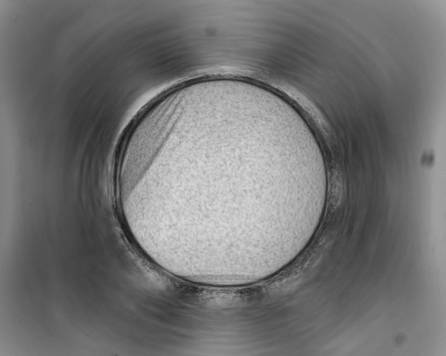 X0000100960886200807221142