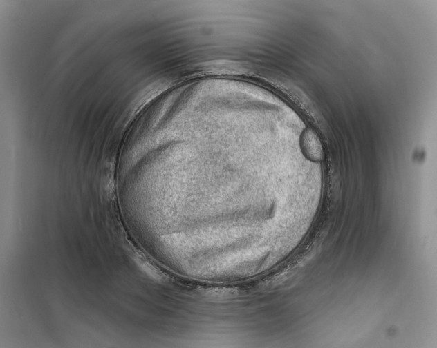 X0000100960889200807221142