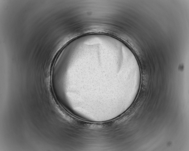 X0000100960890200807221142