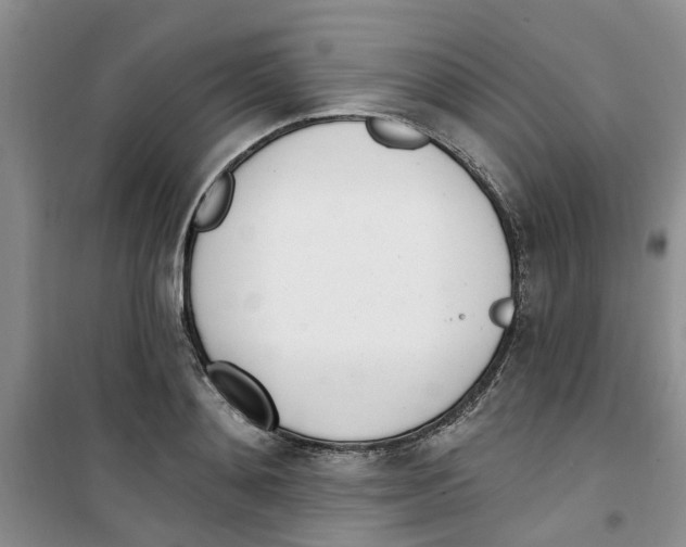 X0000100960892200807221142