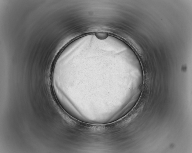 X0000100960893200807221142