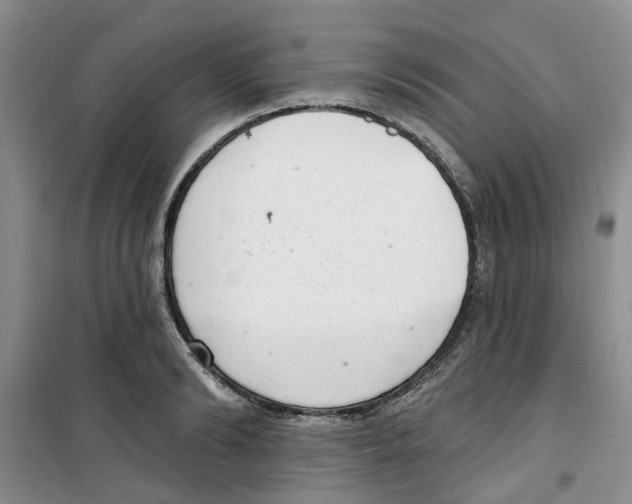 X0000100960894200807221142