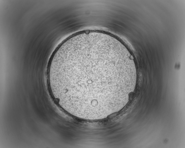 X0000100960895200807221142