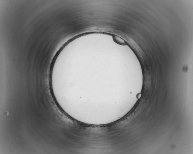 X0000100960896200807221142