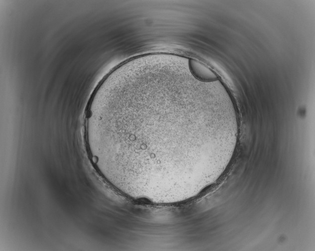 X0000100960899200807221142