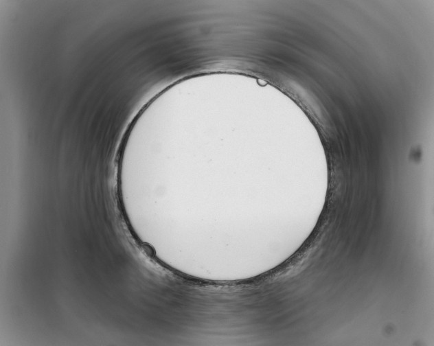 X0000100960900200807221142